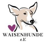 Waisenhunde e.V. – Staging