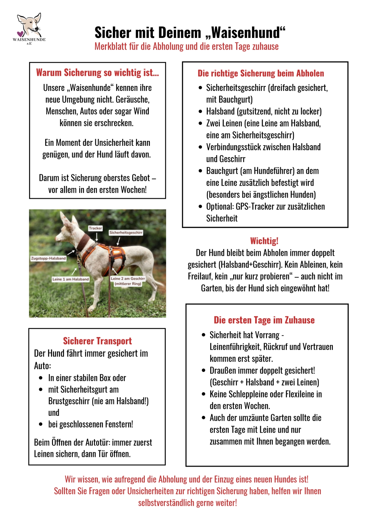 Merkblatt zur Sicherung (PDF)