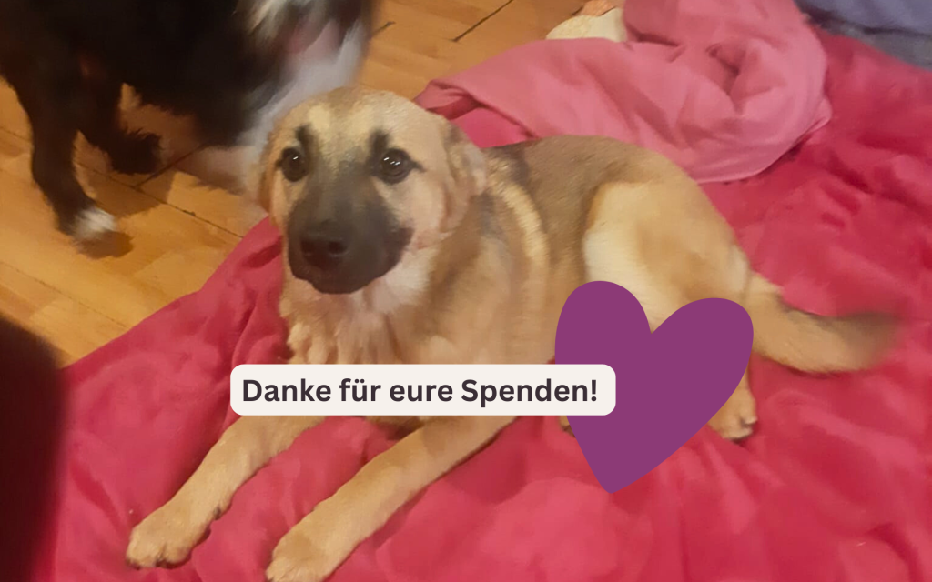 Update zu unserem kleinen Kämpfer Damian